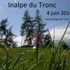 inalpe