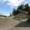 Cabane