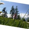 Paysage