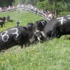 Inalpe